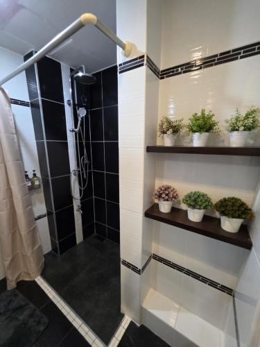 a bathroom with potted plants and a shower at ARMO Nimman in Chiang Mai