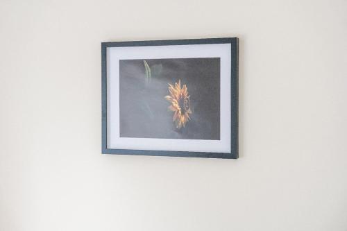 a framed picture of a flower on a wall at Modern 4-Bed, Parking, Pool Table, Sleeps 11 in Bescot