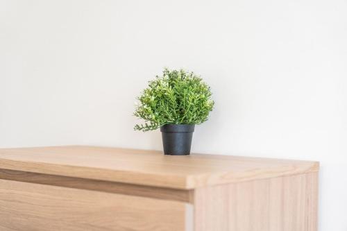 a potted plant sitting on top of a wooden shelf at Modern 4-Bed, Parking, Pool Table, Sleeps 11 in Bescot