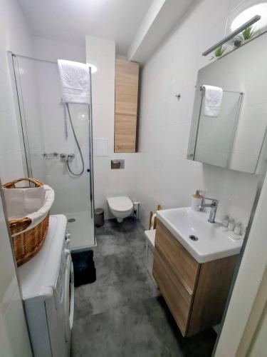 a bathroom with a sink and a shower and a toilet at Apple Inn in Warsaw