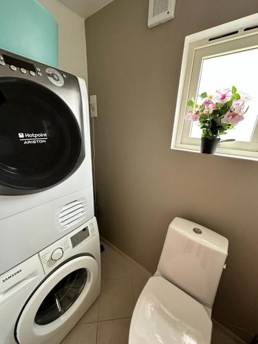 a washing machine and a toilet in a bathroom at Cozy house with a sea view in Knarrvika