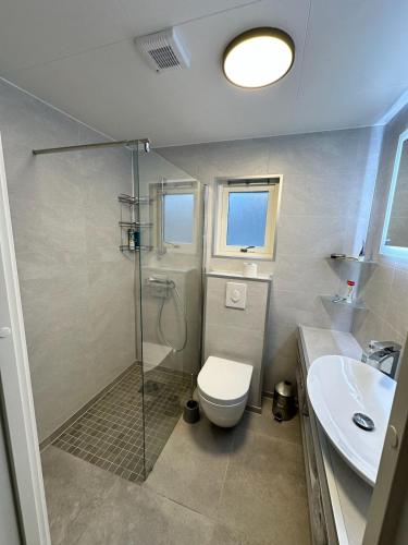 a bathroom with a shower and a toilet and a sink at Cozy house with a sea view in Knarrvika