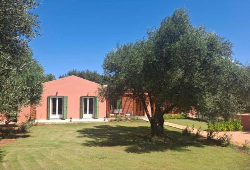 Κήπος έξω από το Elysian olive villas