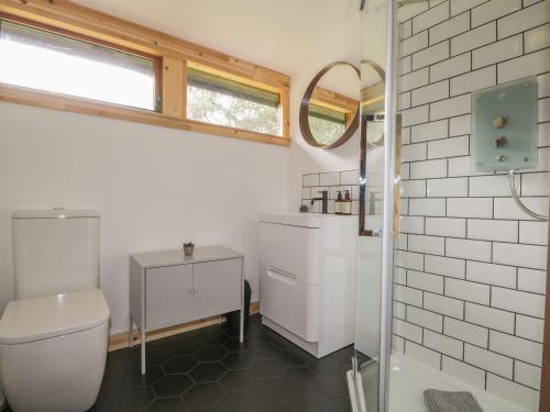 a bathroom with a toilet and a sink and a mirror at Blue Pine Lodge in Embo