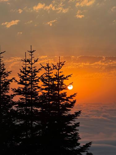 a sunset with two trees in the foreground at The Cotria's Chalet at GomisMta in Gomi