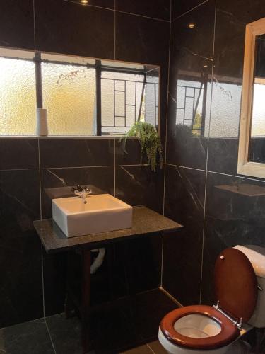 a bathroom with a sink and a toilet at Bothabelo Bed and Breakfast in Phalaborwa