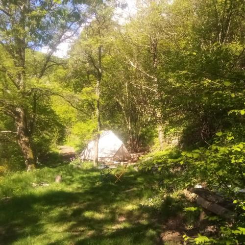 Gallery image of Grande Tente Tipi en pleine forêt in Burzet