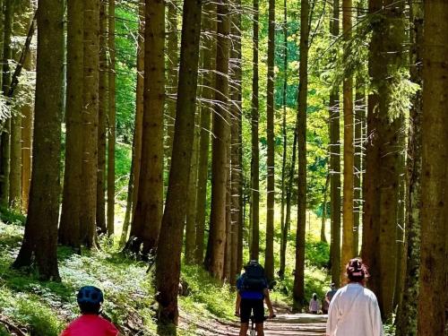 Gæster der bor på Apartament Andra