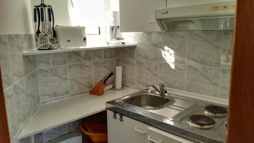 una cucina con lavandino e bancone di Ljubica Apartments and Rooms a Rab