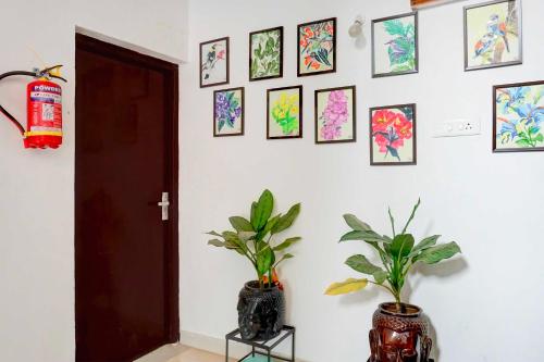 a room with two plants and pictures on the wall at Hotel O Baner Near Mumbai Pune Highway in Pune