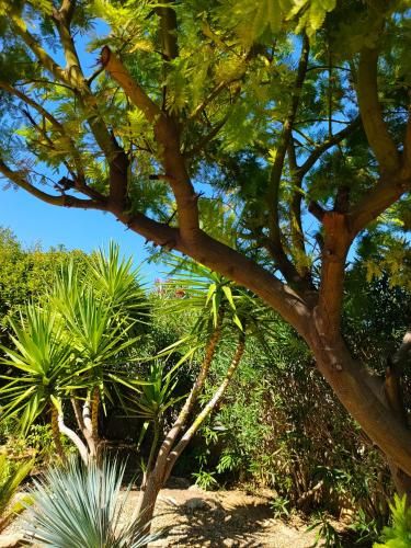 Jardín al aire libre en Divine ROUJAN Sunny Lodge