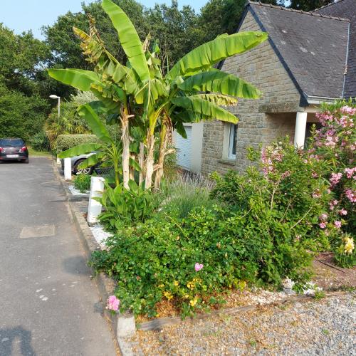 a palm tree in front of a house at La maison des plages in Pénestin