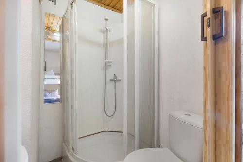 a bathroom with a shower and a toilet at Ferienhaus alte Münze in Neuerburg