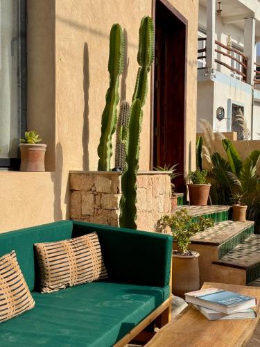 a green couch on a patio with a table and cactus at SURFHALLA Morocco in Imsouane