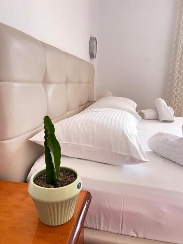 Berat E&S Comfort Apartments-GuestRoom