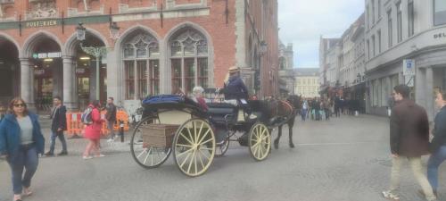 Гости Noordzee Blankenberge