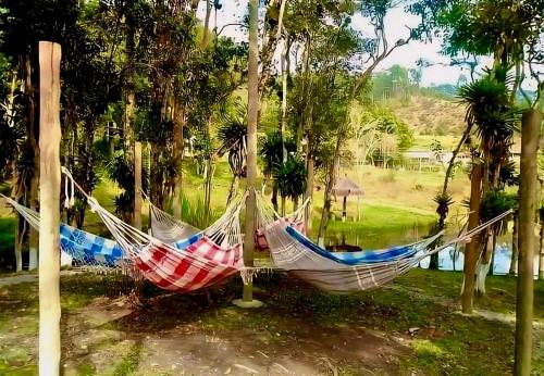 three hammocks hanging from palm trees in a park at Chalé Romântico Salesópolis - Café da manhã e banheira de hidromassagem in Salesópolis