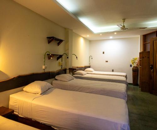 a group of four beds in a room at Madre Tierra Hostal in Puerto Escondido