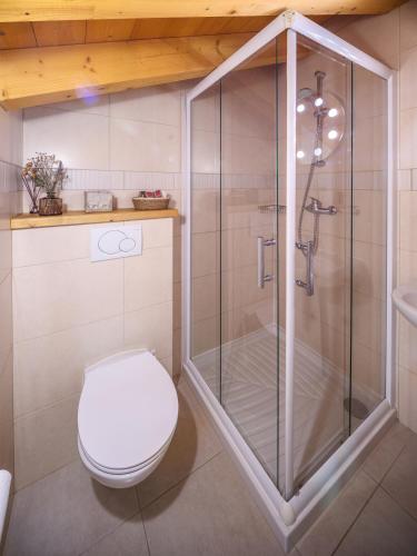 a bathroom with a shower and a toilet at Chalet LE VAL NESS in La Côte dʼArbroz