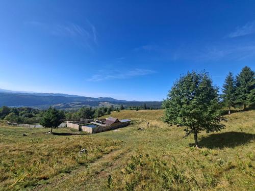 a field with a house in the middle of a tree at Altan's Gold in Hangul