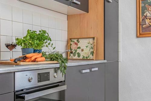 Kuchyň nebo kuchyňský kout v ubytování Wohnung Auszeit im Gutshof zum See