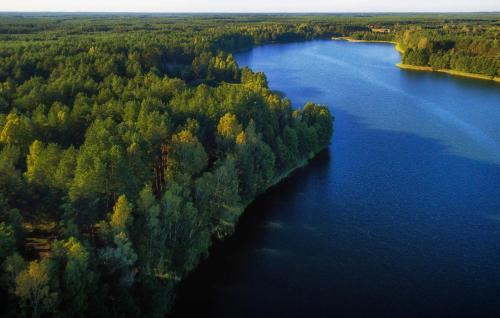 an aerial view of a lake with trees and water at Stunning Apartment In Okoniny Nadjeziorne in Okoniny Nadjezierne