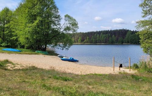 a dog standing on a beach next to a lake at Stunning Apartment In Okoniny Nadjeziorne in Okoniny Nadjezierne