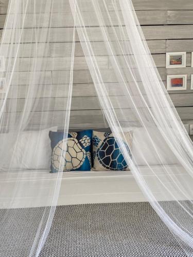 Foto de la galeria de Turtle Hideaway a Christ Church