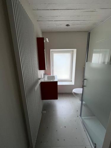 an empty bathroom with a sink and a window at Appartement 2 chambres in Messancy