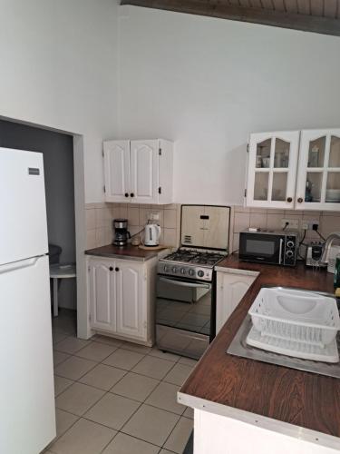 a kitchen with white cabinets and a white refrigerator at OCEAN VIEW APARTMENTs in Saint Georgeʼs