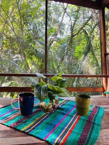 Κήπος έξω από το Green Jay Cabins