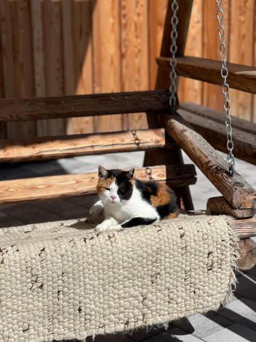 Mascotas con sus dueños en Reiterbauer Chalet
