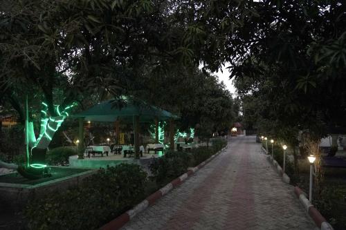 Zahrada ubytování Aarambh Jungle Vista Resort, Gir