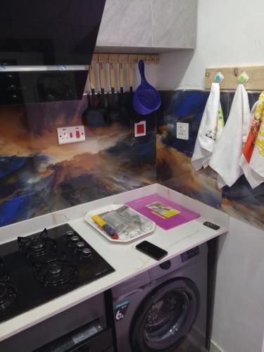 a kitchen with a stove and a washing machine at Peace Dew Apartments in Maiyegun
