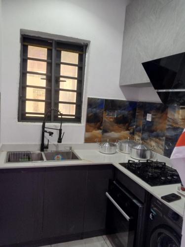 a kitchen with a sink and a stove at Peace Dew Apartments in Maiyegun