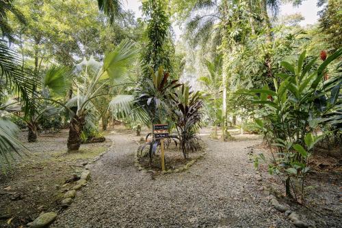 a path through a forest with a bench in the middle at ZEN Villa in Punta Uva