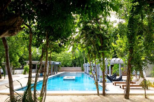 a swimming pool with a hammock and trees at Hotel Casa Tortuga Tulum - Cenotes Park Inclusive in Tulum