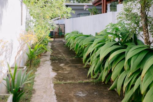 Jardín al aire libre en Villa Lune