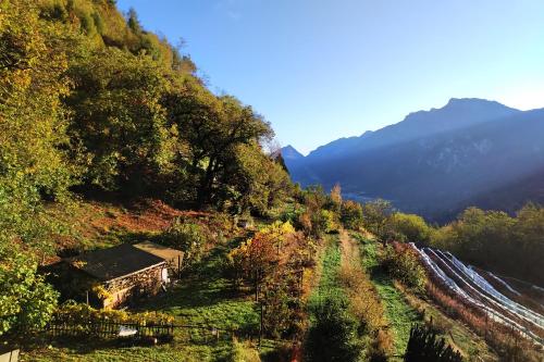 a hillside with trees and a mountain in the background at Maso Piatelle in Caldonazzo