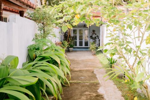 Un camino que conduce a una casa con plantas. en Villa Lune, en Ahangama