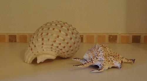 two stuffed animals sitting next to each other on a floor at Bordighera weekend vacanze e mare in Bordighera