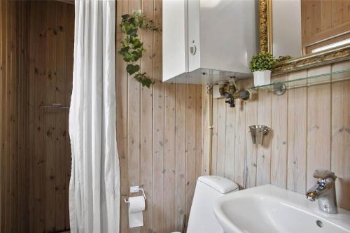 a bathroom with a sink and a toilet and a mirror at JB102-Fjerritslev-Blabaerstien-7 in Fjerritslev