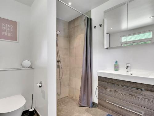 a bathroom with a shower and a sink and a toilet at Holiday Home Fentje - 375m to the inlet by Interhome in Grevinge