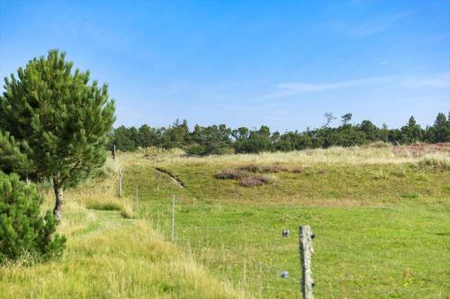 a field of grass with a tree and a fence at JB325-Frostrup-Bulbjergvej-40 in Nørklit