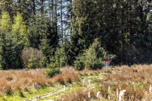 a red frisbee in the middle of a field at JB178-Brovst-Kronvildtvej-3 in Tranum