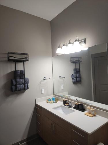 Fotografie z fotogalerie ubytování Stylish 1BR Uptown Apartment v destinaci Charlotte