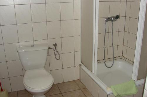 a small bathroom with a toilet and a shower at DW Averon in Świeradów-Zdrój