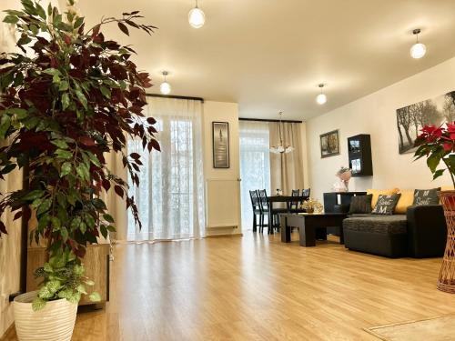 Apartmán v srdci Poděbrad 100m2