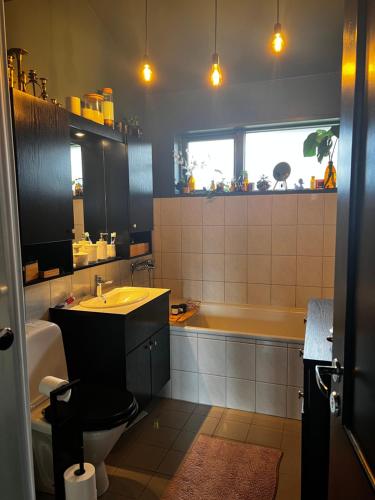 a bathroom with a sink and a tub at Home in the country in Hella