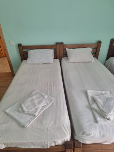 two beds sitting next to each other in a room at Hotel Nina in Tbilisi City